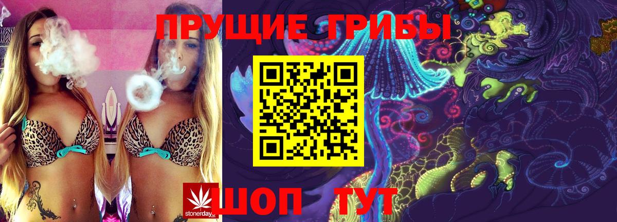 Псилоцибиновые грибы Psilocybe Белово